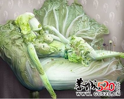 蔬菜也性感，叫我这个吃货都不忍下手了…449 / 作者:低吟那一抹忧伤 / 帖子ID:5464