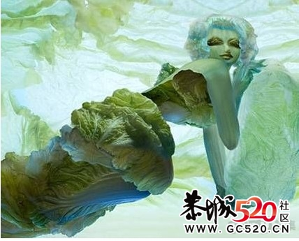 蔬菜也性感，叫我这个吃货都不忍下手了…39 / 作者:低吟那一抹忧伤 / 帖子ID:5464