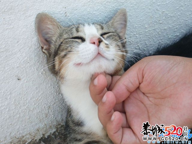妞，给爷笑一个~~~哈哈42 / 作者:资深五迷 / 帖子ID:5465