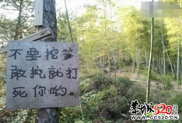 房子终于降到白菜价了962 / 作者:萝卜酸送粥 / 帖子ID:5624