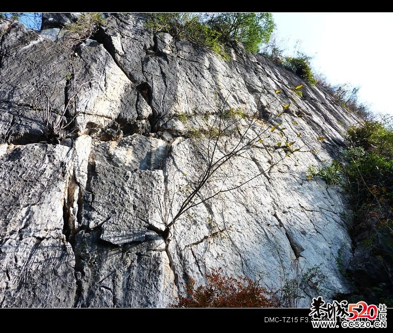石角庵&lt;凤凰山脚旁&gt;好风光695 / 作者:平安大叔 / 帖子ID:5655