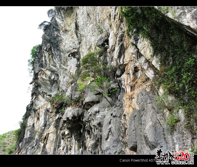 石角庵&lt;凤凰山脚旁&gt;好风光265 / 作者:平安大叔 / 帖子ID:5655