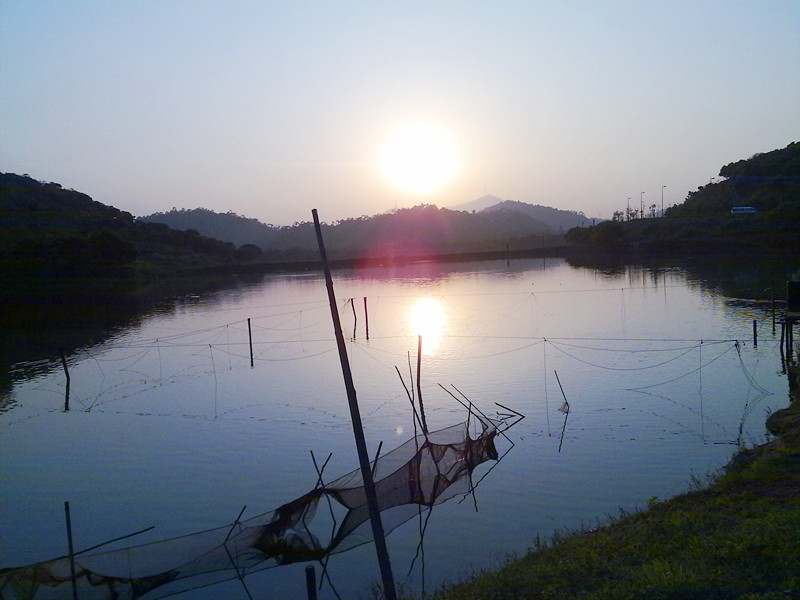 钓鱼场的夕阳732 / 作者:limushzh / 帖子ID:5664