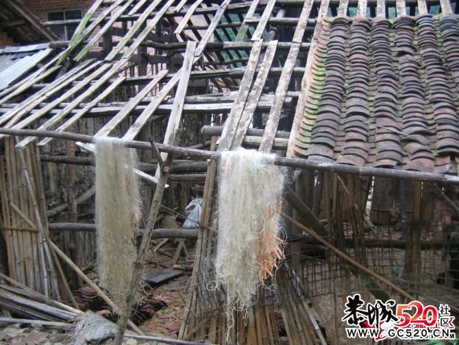 看专家大言不惭的大国（系列1）612 / 作者:四渡赤水 / 帖子ID:5709