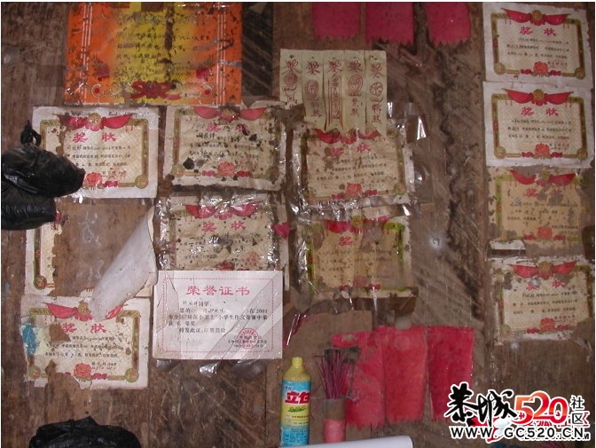 看专家大言不惭的大国（系列1）240 / 作者:四渡赤水 / 帖子ID:5709