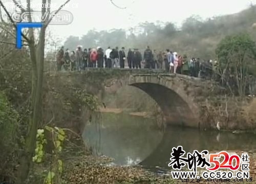校车和校车的区别102 / 作者:帅得很抽象 / 帖子ID:5925