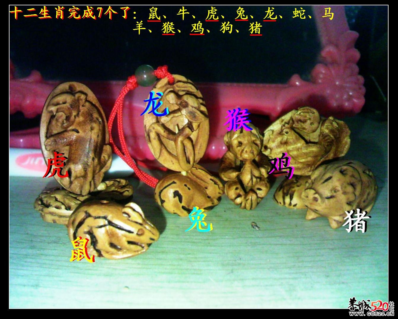 又加了条猪754 / 作者:排散 / 帖子ID:6124