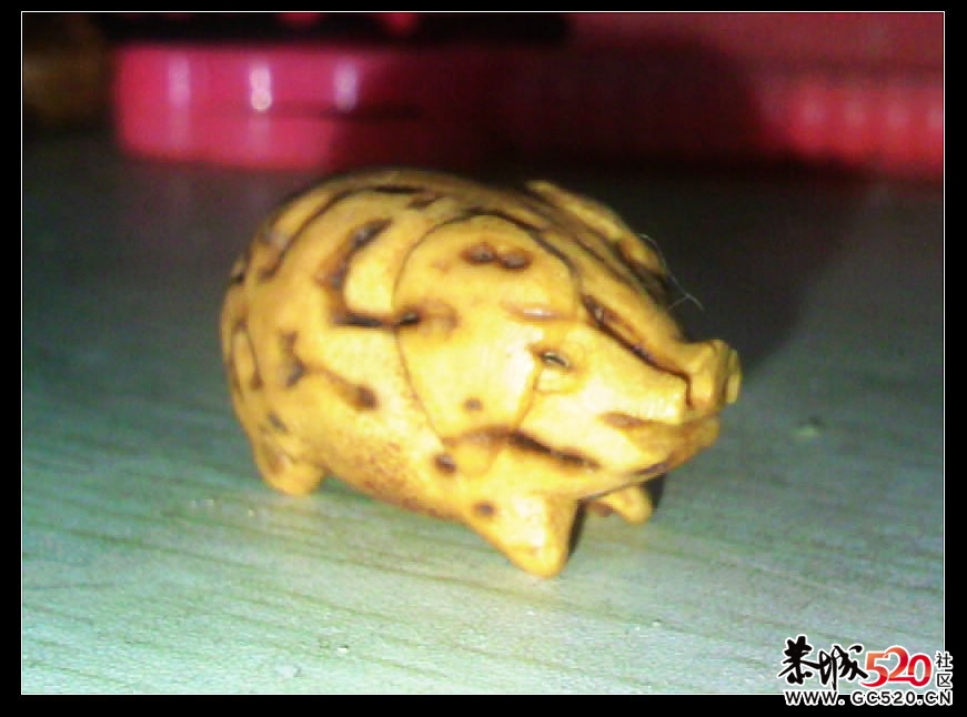 又加了条猪818 / 作者:排散 / 帖子ID:6124