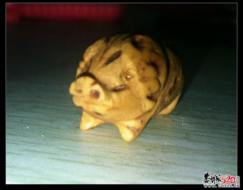 又加了条猪297 / 作者:排散 / 帖子ID:6124