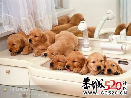 我们结婚了524 / 作者:星想事成 / 帖子ID:6152