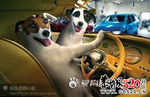 我们结婚了931 / 作者:星想事成 / 帖子ID:6152