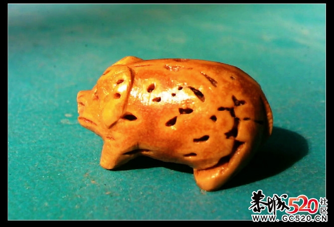 又加了条猪800 / 作者:排散 / 帖子ID:6124