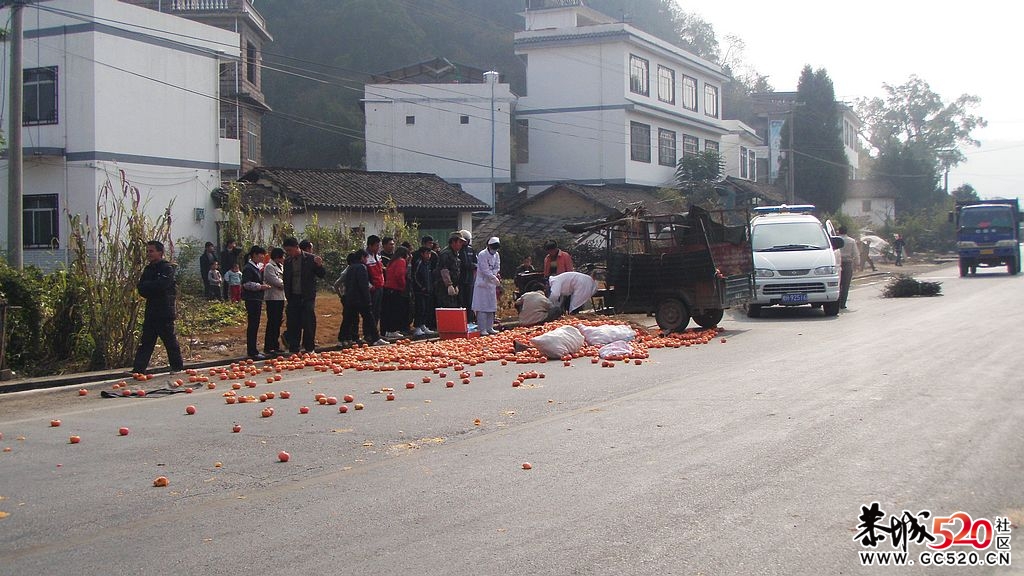 又见车祸，大家还是小心一点吧！200 / 作者:铠甲勇士 / 帖子ID:6323