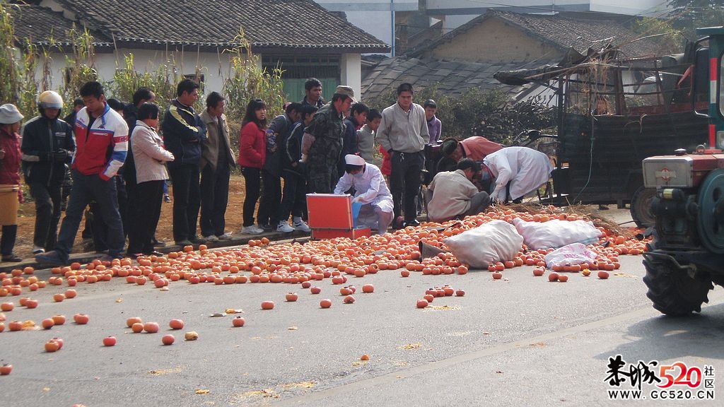 又见车祸，大家还是小心一点吧！140 / 作者:铠甲勇士 / 帖子ID:6323