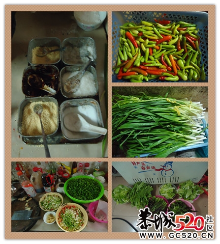 宰年猪活动的点滴，哈哈44 / 作者:嬋影 / 帖子ID:6379