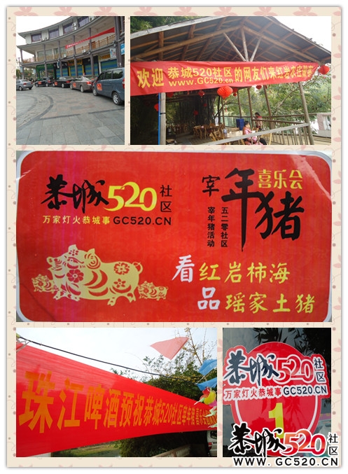 宰年猪活动的点滴，哈哈503 / 作者:嬋影 / 帖子ID:6379