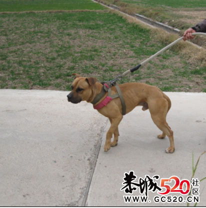好不好  自己看！705 / 作者:易水清 / 帖子ID:6466