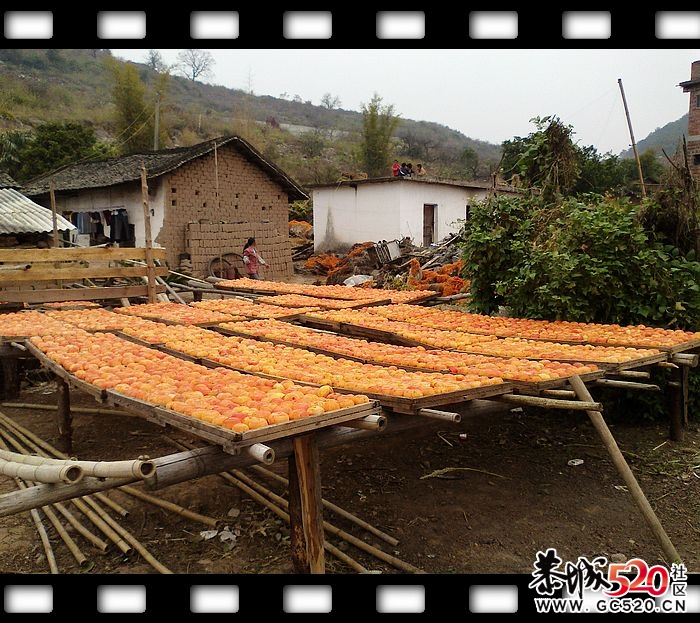 探索发现恭城又一大草原！~~886 / 作者:探索者越野车队 / 帖子ID:6529
