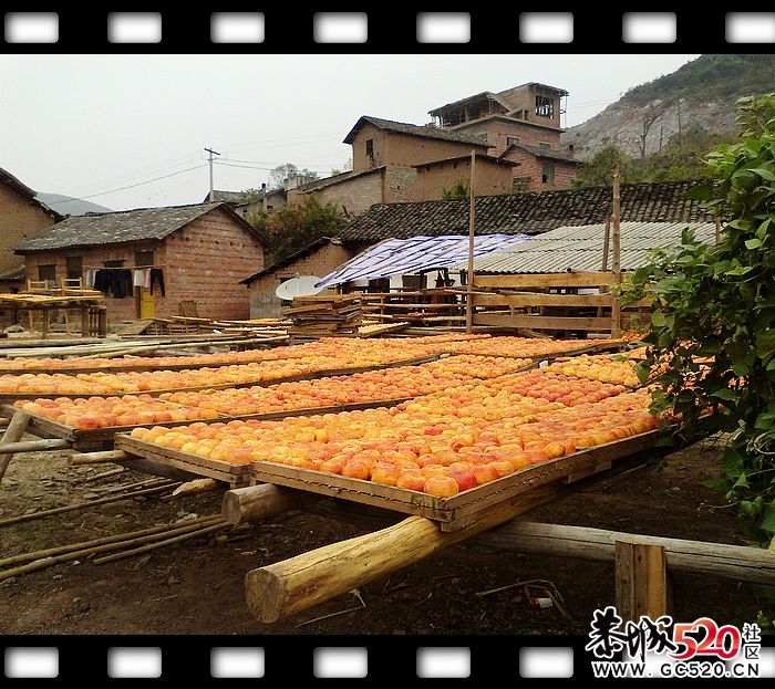 探索发现恭城又一大草原！~~716 / 作者:探索者越野车队 / 帖子ID:6529