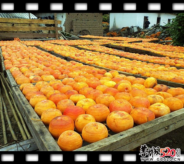 探索发现恭城又一大草原！~~12 / 作者:探索者越野车队 / 帖子ID:6529