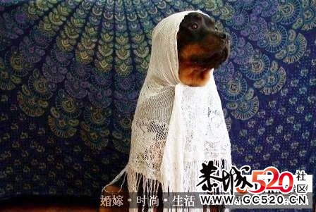 亲，给爷笑一个146 / 作者:星想事成 / 帖子ID:6635