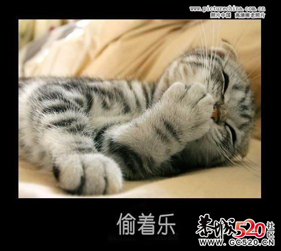 亲，给爷笑一个801 / 作者:星想事成 / 帖子ID:6635