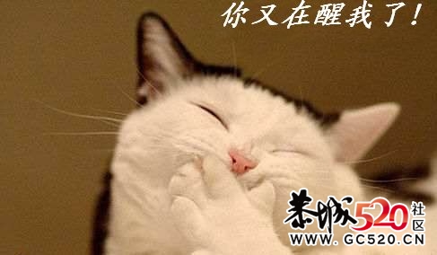 穿旗袍的妹妹87 / 作者:平安大叔 / 帖子ID:6842