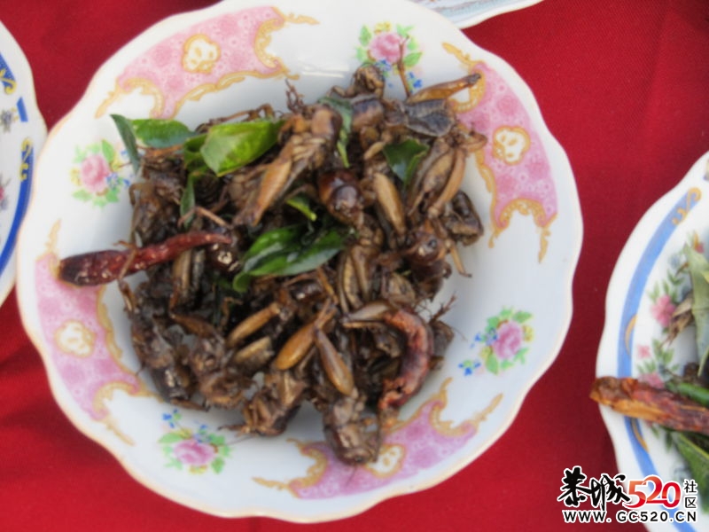 佛的国度——老挝之特别篇396 / 作者:天天天蓝蓝 / 帖子ID:6866