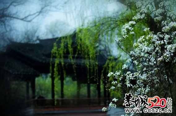 等一朵花开201 / 作者:华灯初上 / 帖子ID:6897