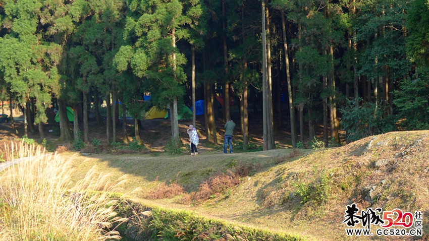 2011玉林浪漫圣诞嘉年华. 户外狂欢音乐会精彩PP701 / 作者:红日叔叔 / 帖子ID:6961