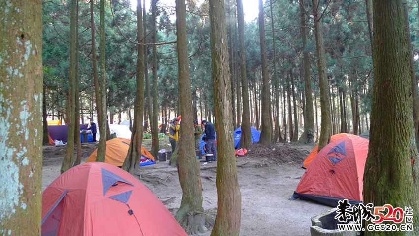 2011玉林浪漫圣诞嘉年华. 户外狂欢音乐会精彩PP923 / 作者:红日叔叔 / 帖子ID:6961