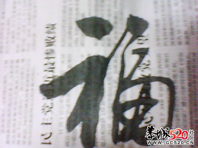 书法求解-（打油诗）564 / 作者:大鸟 / 帖子ID:7017