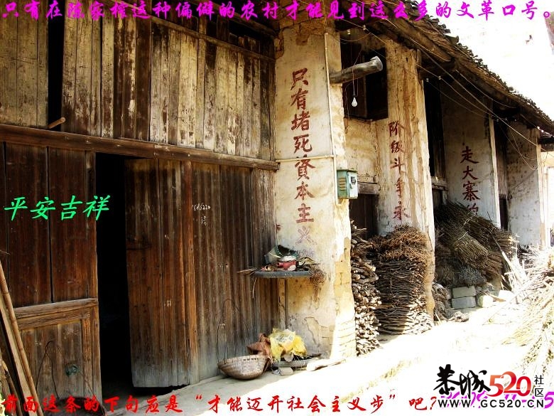 两年前骑单车跑得最远的一次322 / 作者:平安大叔 / 帖子ID:7208