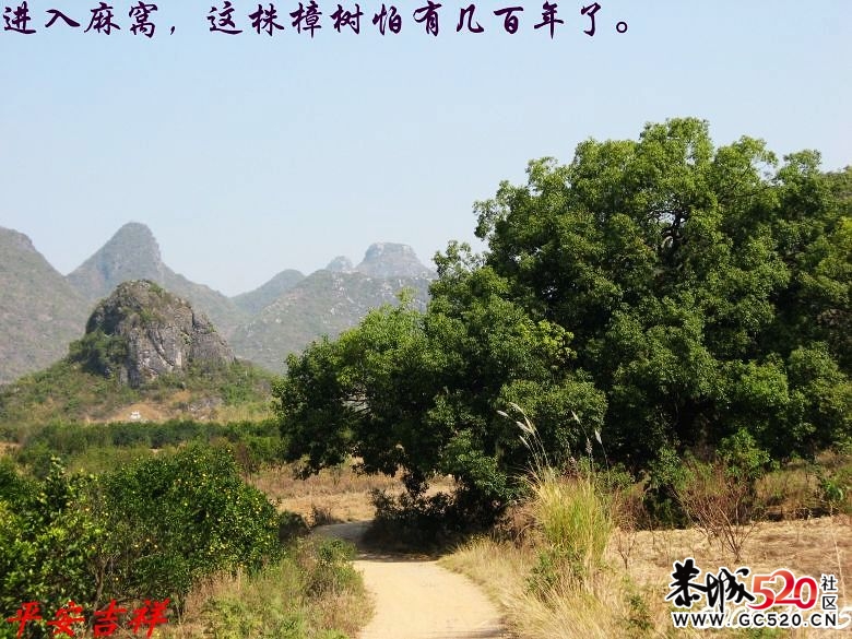 两年前骑单车跑得最远的一次213 / 作者:平安大叔 / 帖子ID:7208