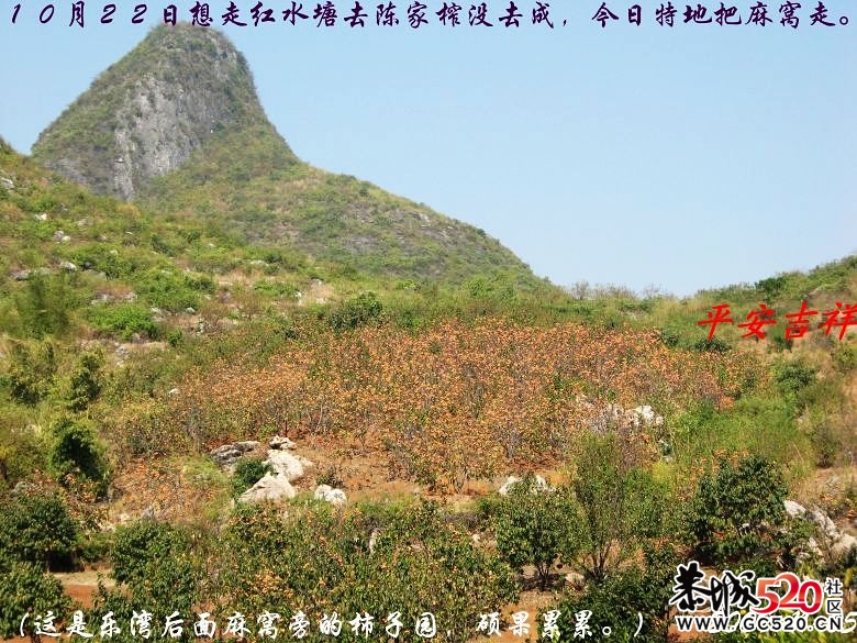 两年前骑单车跑得最远的一次250 / 作者:平安大叔 / 帖子ID:7208