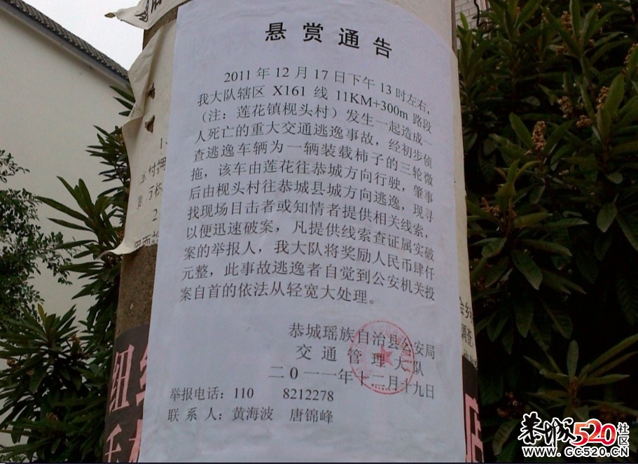 肇事逃逸！冤魂难安！恳请目击者帮忙揪出杀人犯！609 / 作者:城鱼——燕回 / 帖子ID:7484