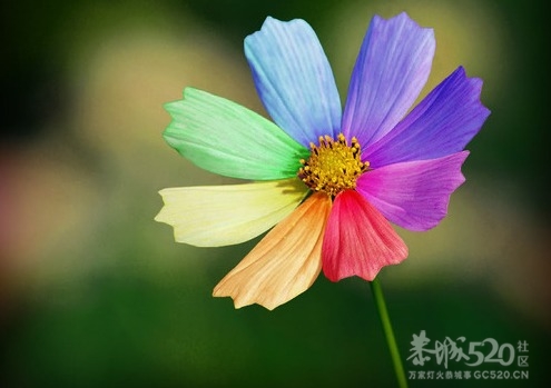 写给自己，致我逝去的年华665 / 作者:尘封网事 / 帖子ID:7500
