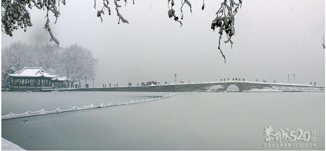 ゛断桥.残荷.雪西湖286 / 作者:小丹丹 / 帖子ID:7746