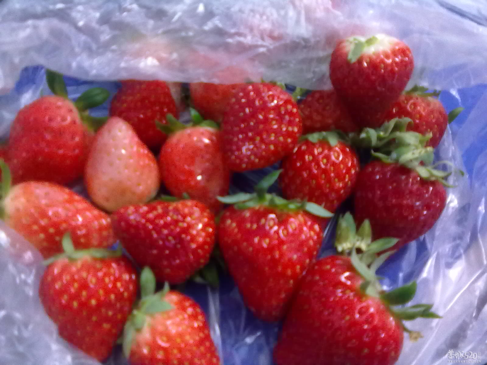 今天接到大学录取通知书了277 / 作者:小雨点 / 帖子ID:7655