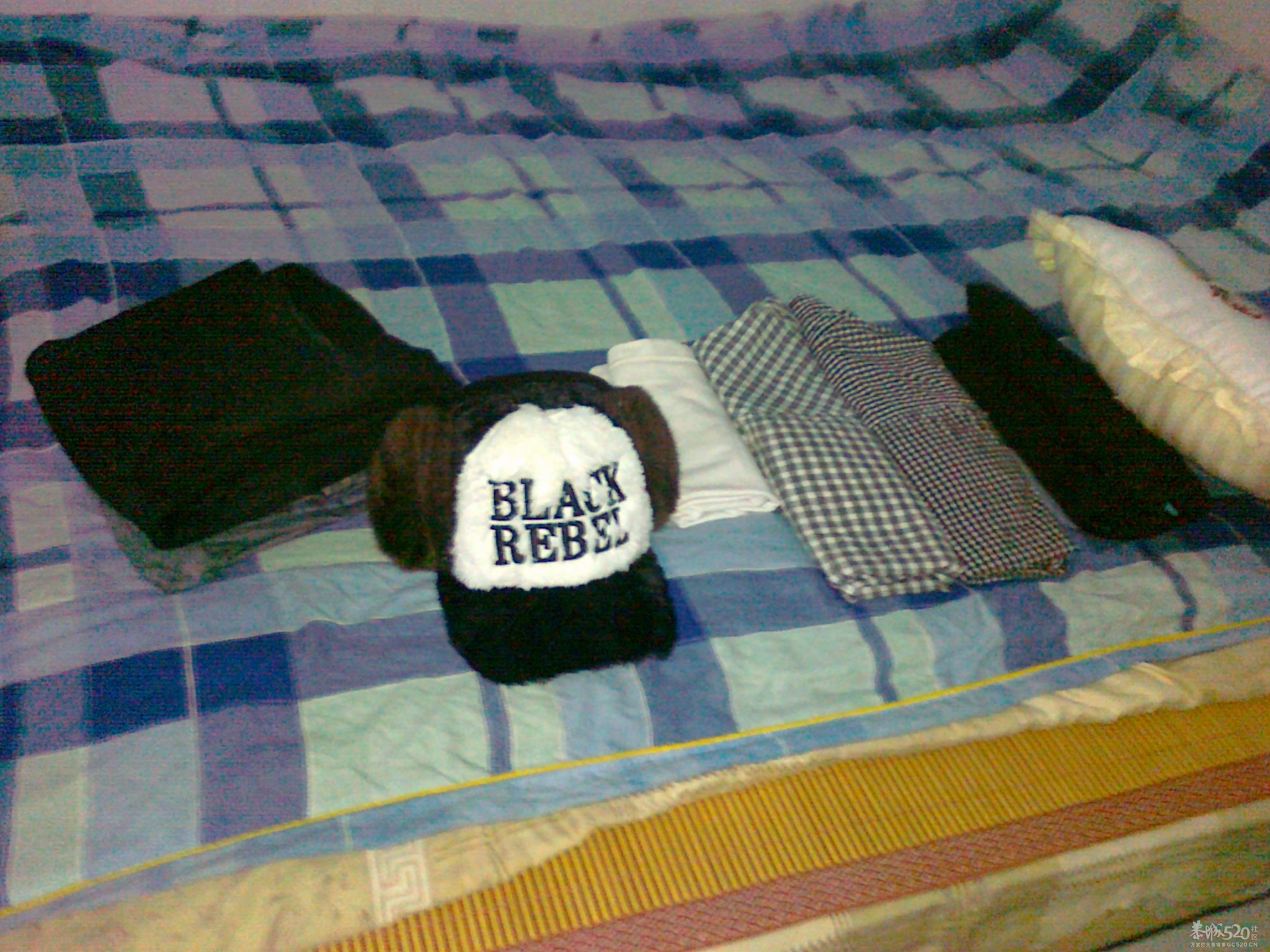 终于回到家了·（附照片）629 / 作者:勇哥 / 帖子ID:8006