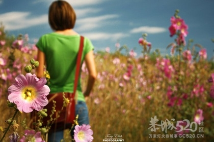 我们毕竟相隔了天涯423 / 作者:骗子 / 帖子ID:8414