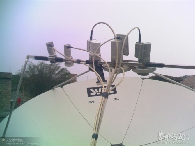 恭城有多少DM烧友？975 / 作者:桂鱼 / 帖子ID:8590