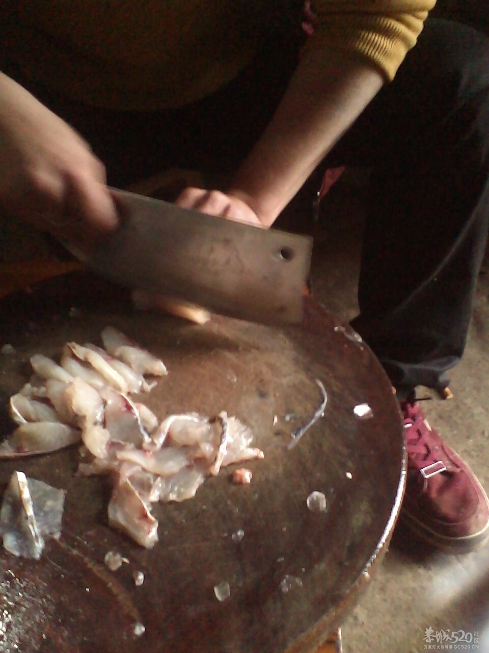 偷偷的闪现下875 / 作者:莫府，霜少爷 / 帖子ID:8895