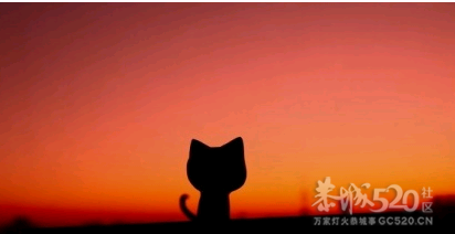 一句话..518 / 作者:尘封网事 / 帖子ID:8996