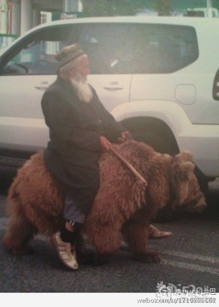 新疆最帅的爷爷,最霸气的爷爷..41 / 作者:请叫我宅男先生 / 帖子ID:9007