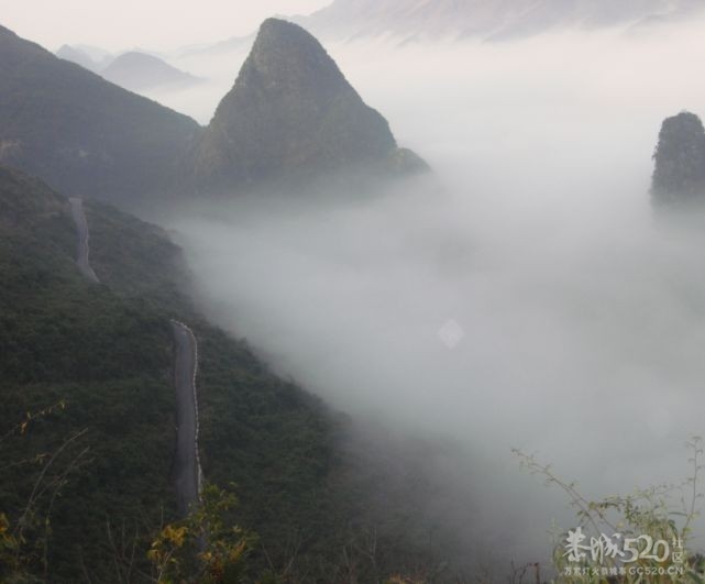 春运啊，真的伤不起644 / 作者:我不懂你 / 帖子ID:8827