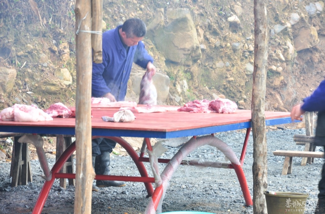 石口探秘（实时更新）。。623 / 作者:小紫 / 帖子ID:9153