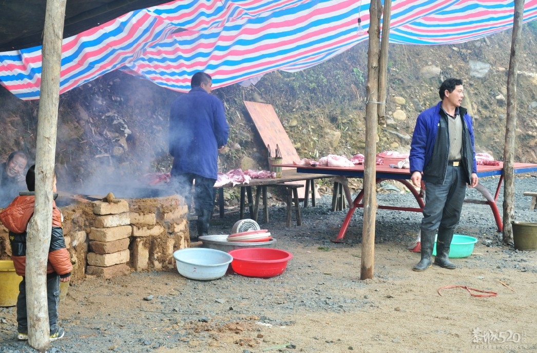 石口探秘（实时更新）。。804 / 作者:小紫 / 帖子ID:9153