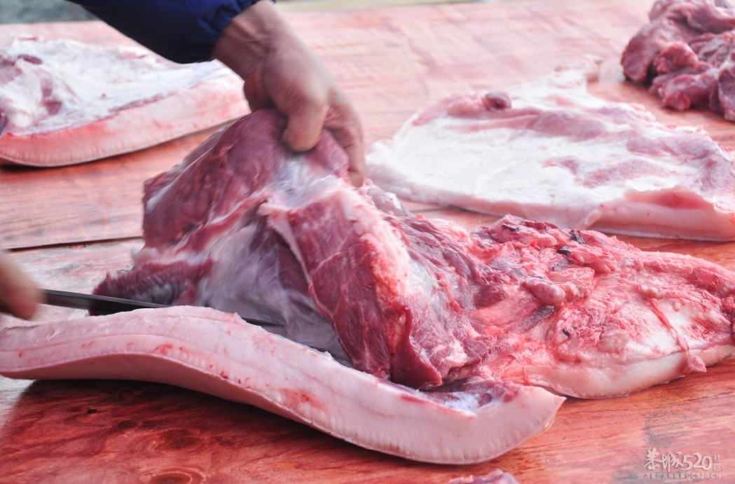 石口探秘（实时更新）。。166 / 作者:小紫 / 帖子ID:9153