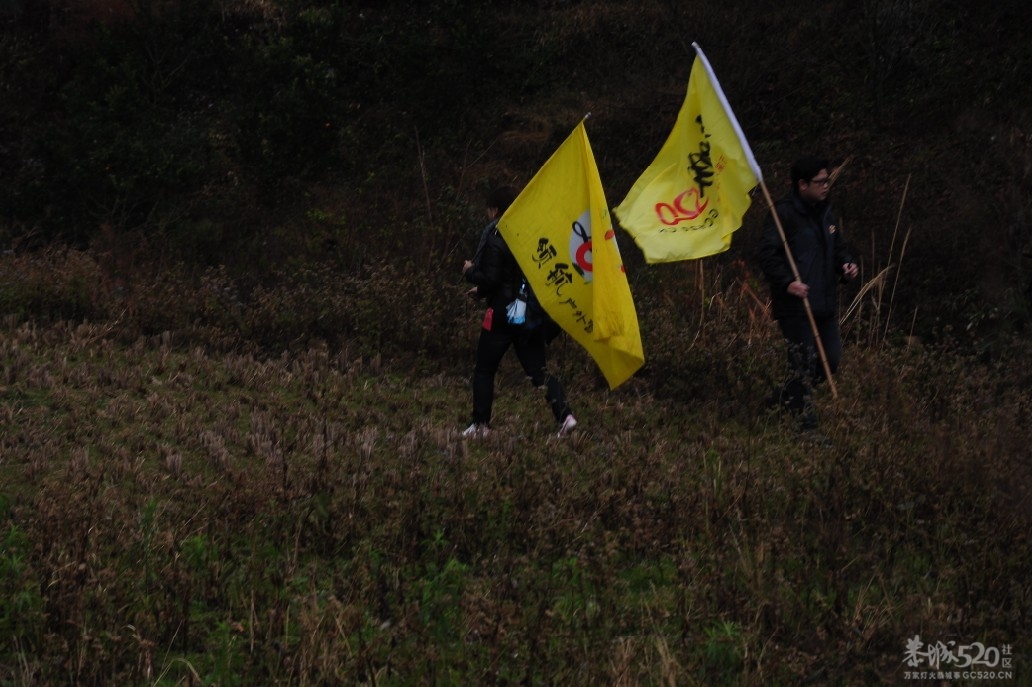 桂林领航户外与恭城520社区驴友露营石口村296 / 作者:小紫 / 帖子ID:9188